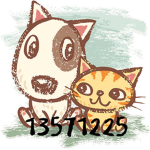 Cats'n dogs