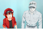 Cells at Work!