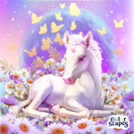 Sw8angel