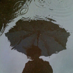 - Rainy Wonders -