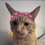 lovelyxroses_yt ɢʀᴏᴜᴘ