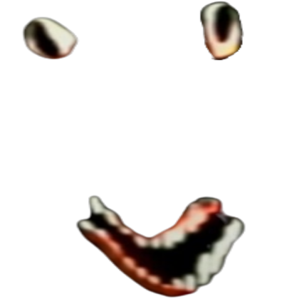 scary face Roblox decal