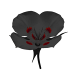 Mariposa Lilly Organization [TFN] [PRR]