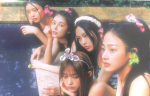 *-the sunflowers-*