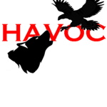 Havoc Combat Forces