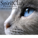*~SpiritClan