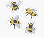 Queen Bees Official Fan Group!