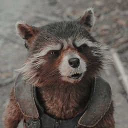 𝘕𝘖!