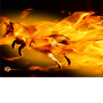 TheFireFoxes