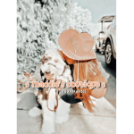 maddie’s boutique -