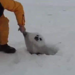 のんあくのお部屋のグループ!!