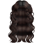 Curly Messy SuperStar Dark Brown Hair