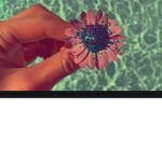 Aesthetic_brooke