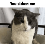 Katusuno