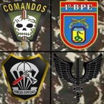 [D.V] Divisões do Exército
