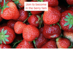 Strawberries are good