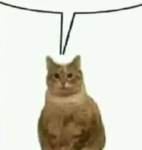 gamegroyup