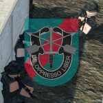 20th Special Forces Group (SFG)