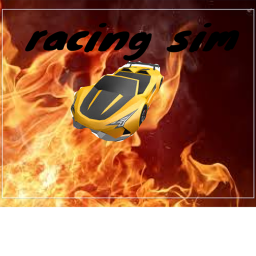 RACING SIM