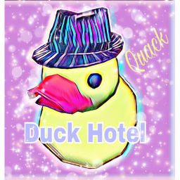 Duck Hotel Interview Center