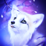 Diable mais adorable