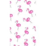 flamingo_groupxxx