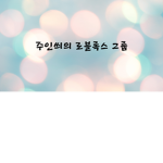 주인씌 로블록스 그룹