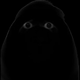 Kill the Angry munci (beta)