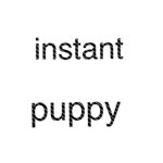 instant puppy