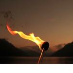 TorchWings