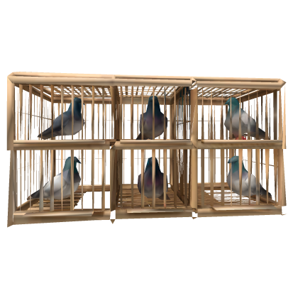 Tas Kandang Burung Merpati