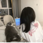 kitteia
