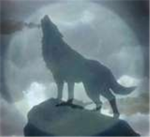 the wolves clan