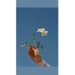 Dinosaur flowers