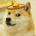 The Mexican Doge Army [TMDA]
