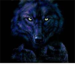 Elite.Dark.Wolf.Assasins