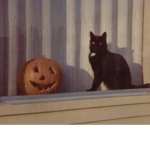 Freaking Bats, I Love Halloween