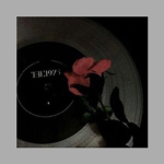 ~{Falling Blossoms}~