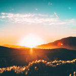Sunrise orginization!