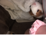 Chloe’s World