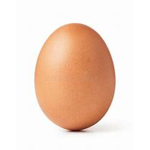 GLORY TO EGG LADS