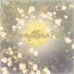 Sunflow3rss