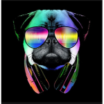 Rainbow doge nation