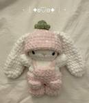 Hunnybun fits