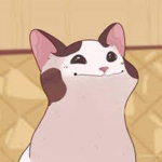 pop cats group (POP)