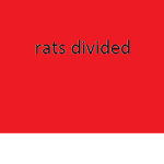 - Rats Divided -