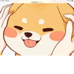 Dog r the bessssttt