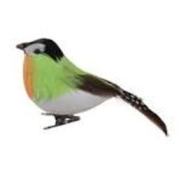 pouli