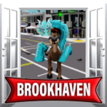 Brookhaven Game Fun"