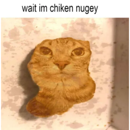 wait im chiken nugey